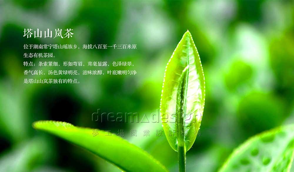 福塔-茶葉