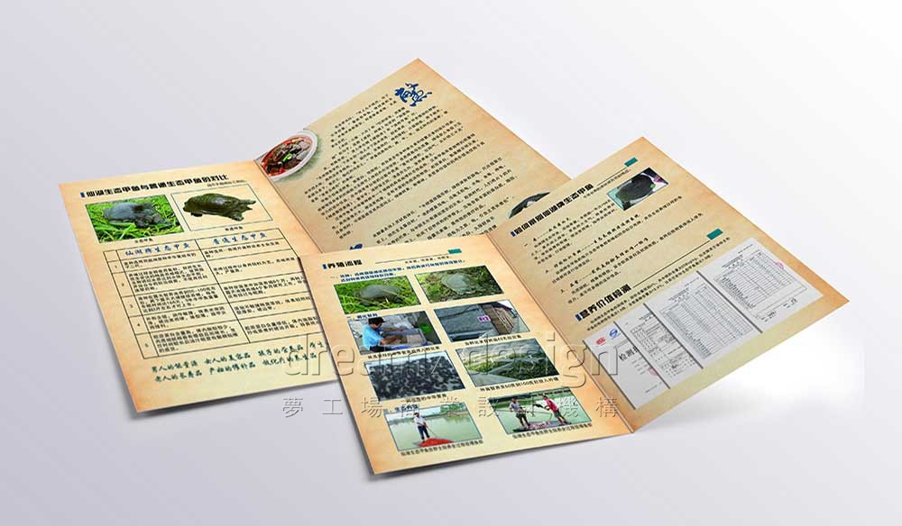 仙湖宣傳冊1