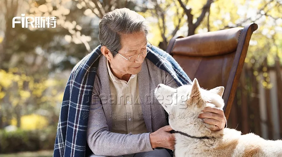 狗狗
